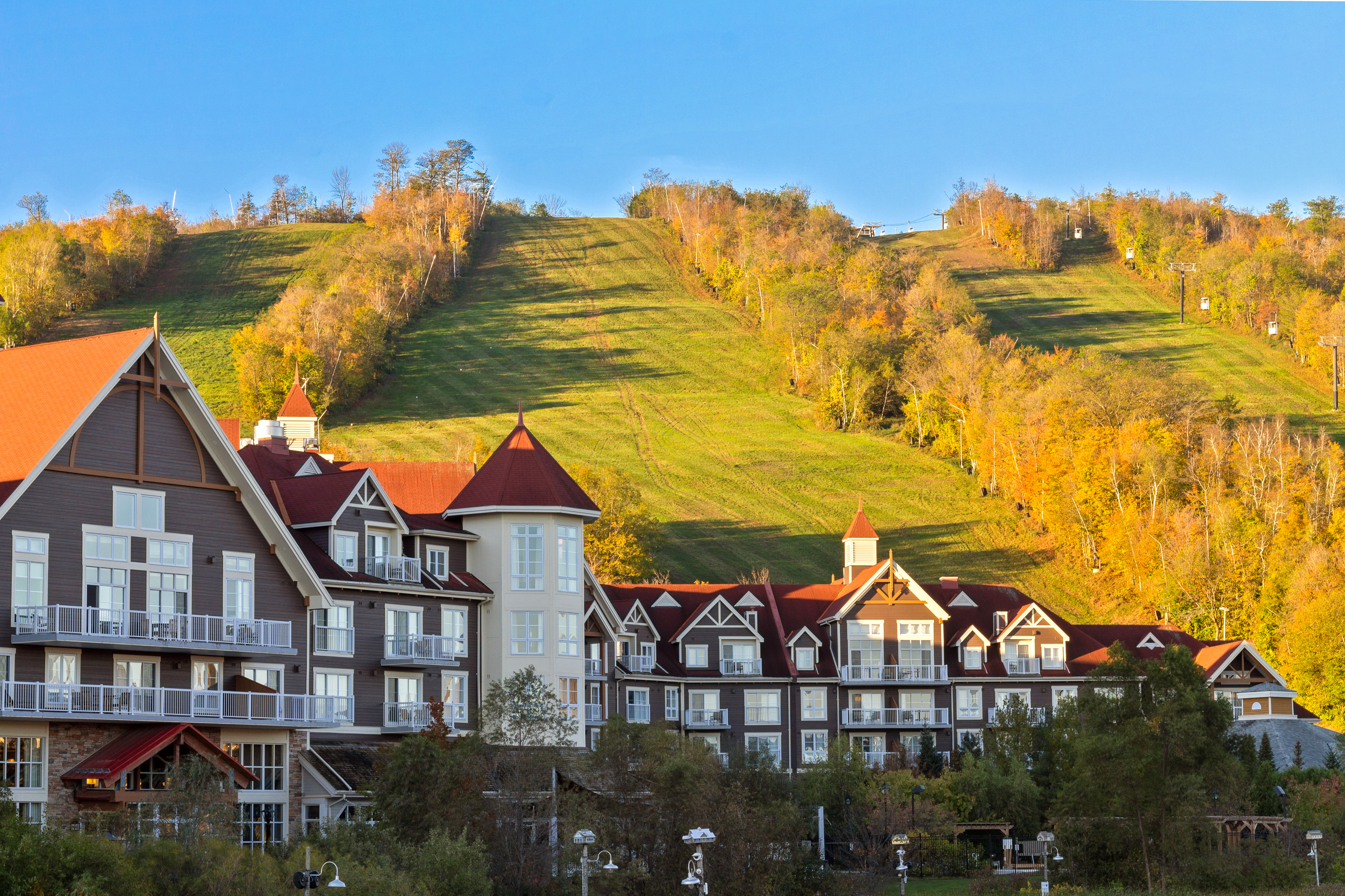Thing To Do The Blue Mountains