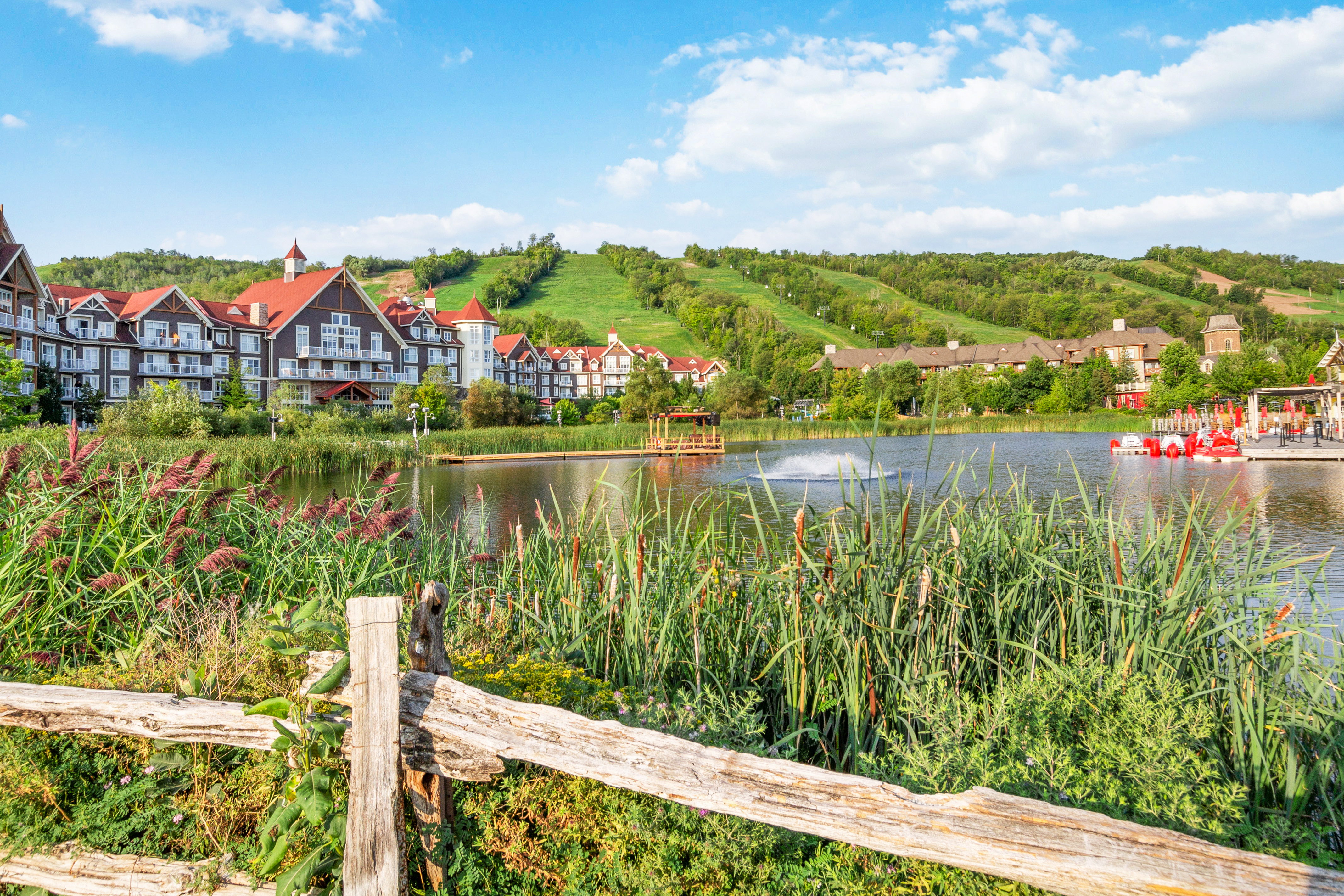 Thing To Do The Blue Mountains