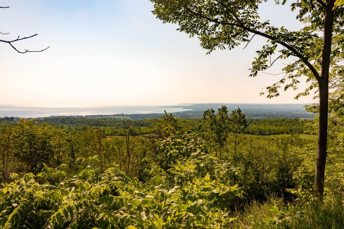 A view of Meaford Ontario. Meaford Vacation Rentals.