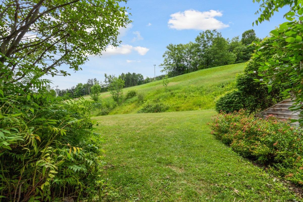 a mountain view from the backyard of a vacation rental